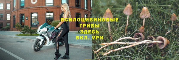 амфетамин Богданович