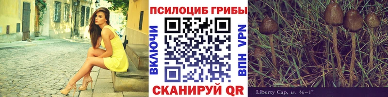 где купить наркотик  Котово  ссылка на мегу   Галлюциногенные грибы ЛСД 